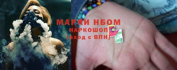 apvp Алзамай