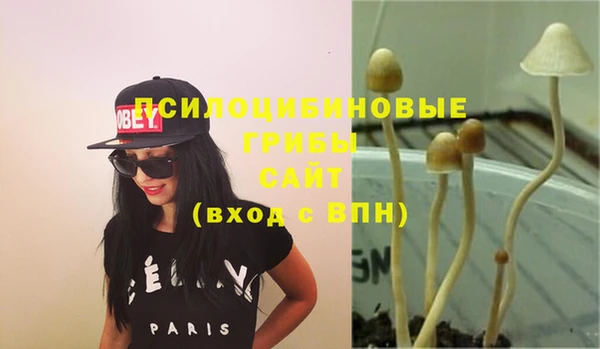 винт Алексин