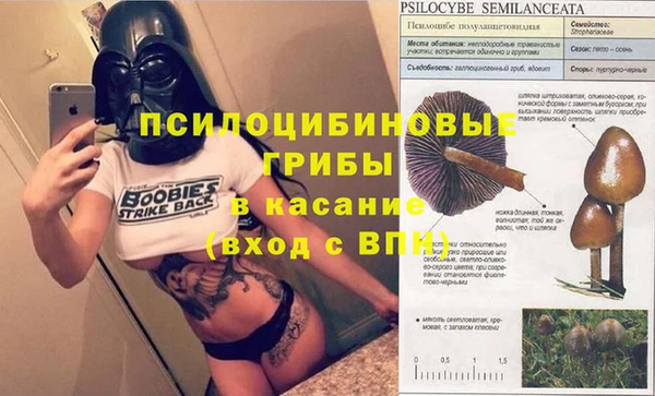 винт Алексин
