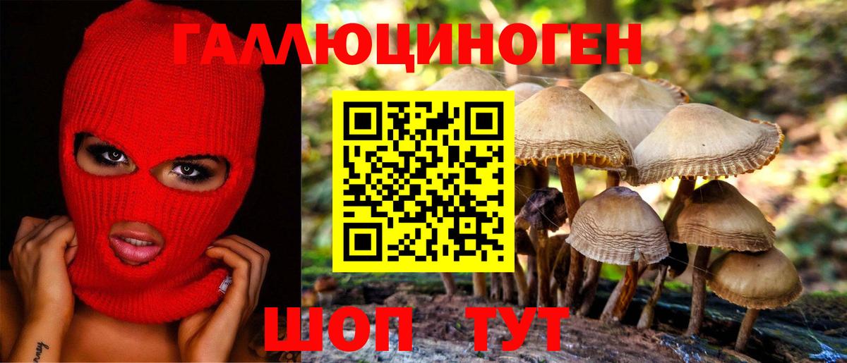 Феодосия  Галлюциногенные грибы прущие грибы  Вход с VPN  Галлюциногенные грибы ЛСД 